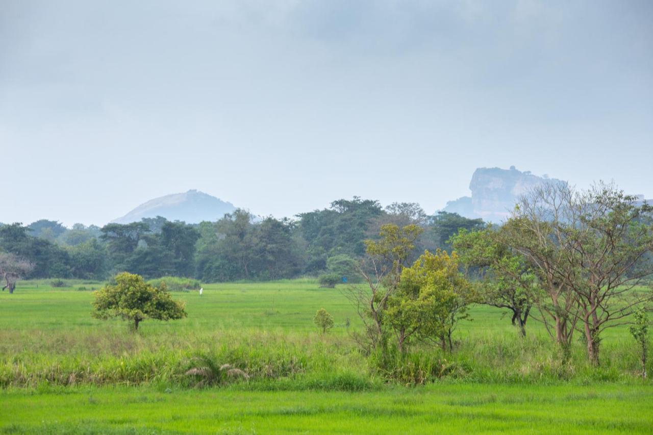 The Hideout Sigiriya Villa Exterior photo