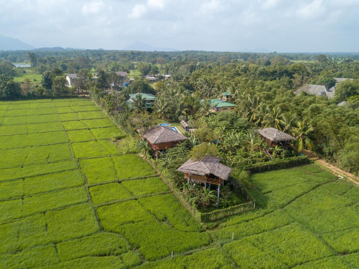 The Hideout Sigiriya Villa Exterior photo